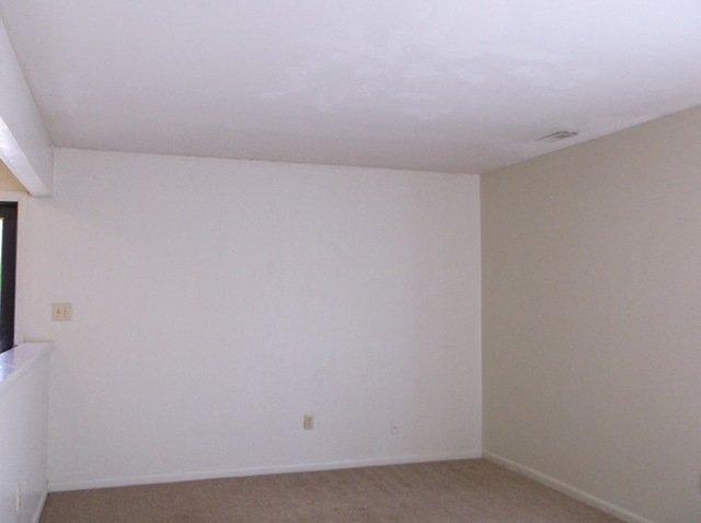 Gallery Photo 5